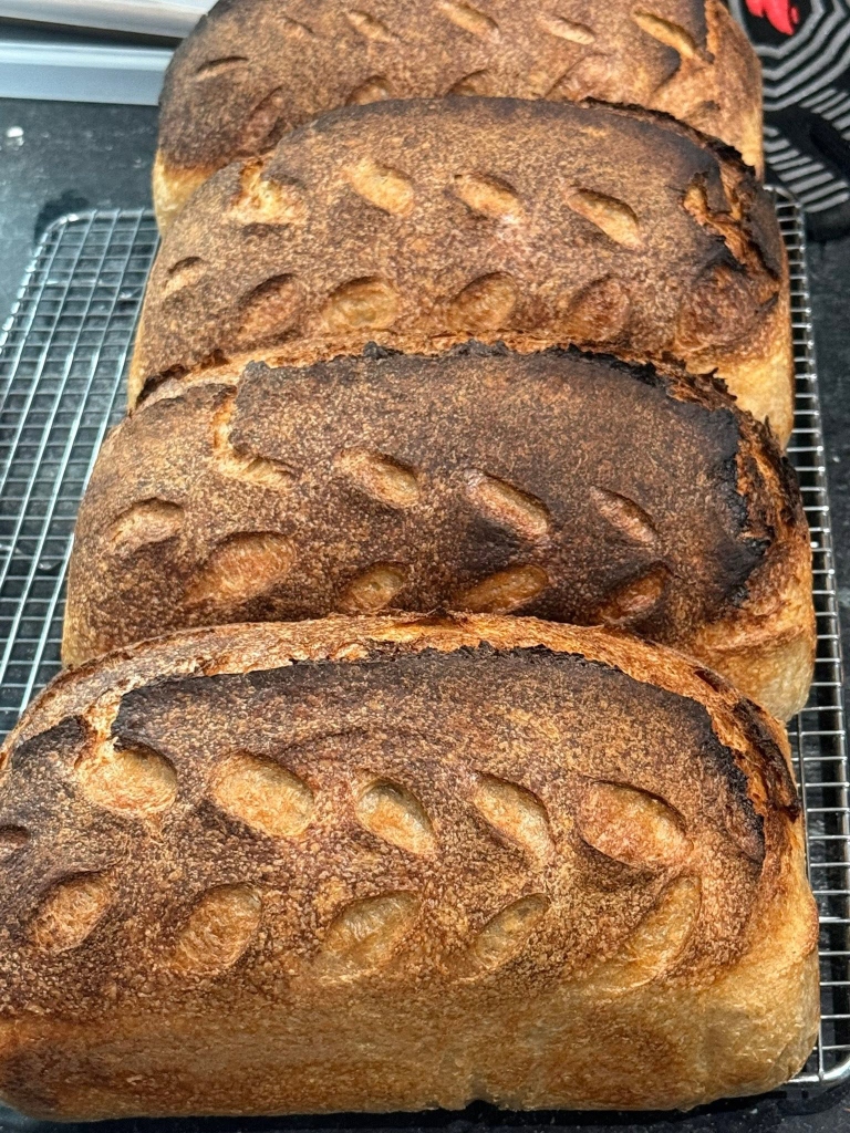 Crusty Sourdough Loaves